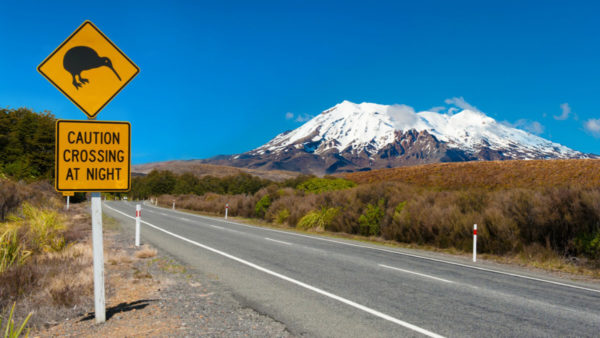 new zealand car rental without credit card