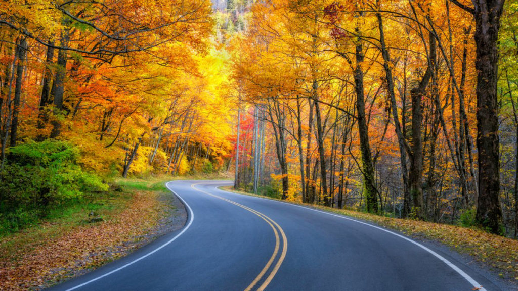 fall-foliage-road-trips