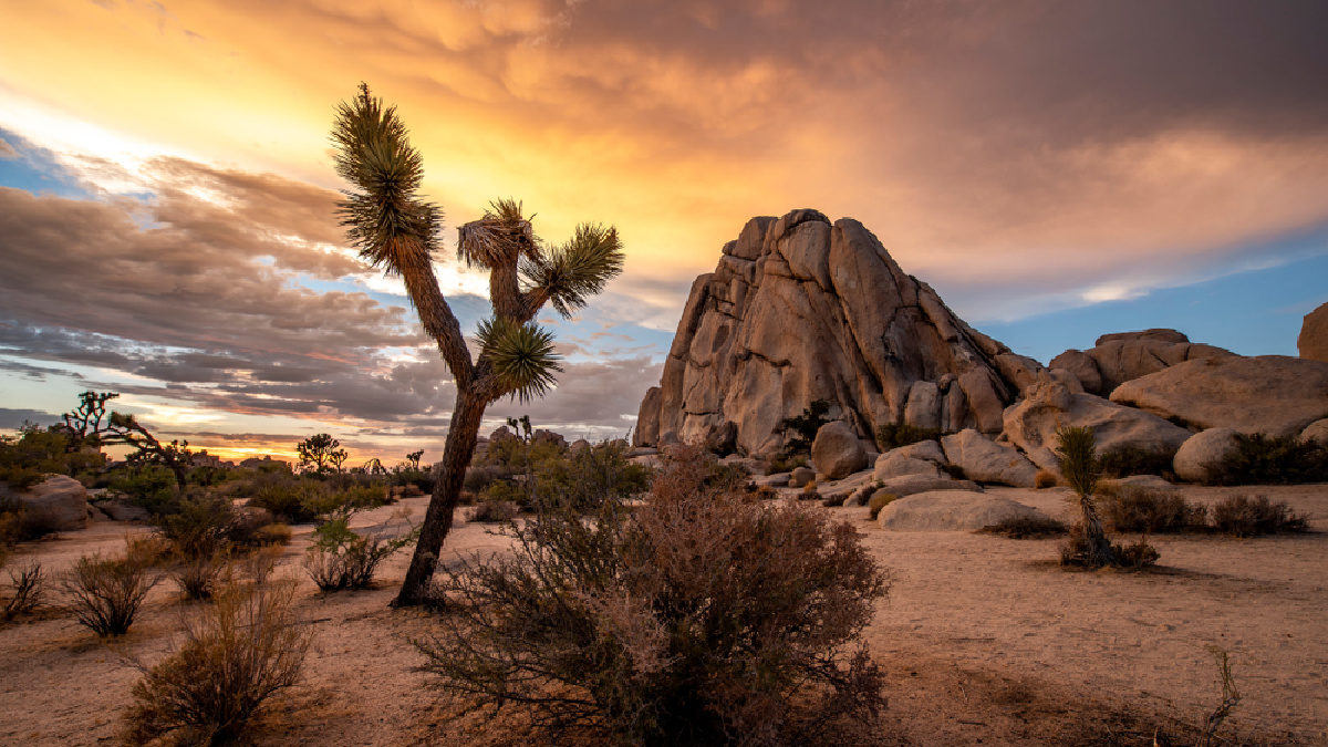 The Best Road Trips from Los Angeles