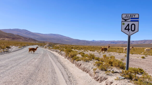 renting a car in Argentina