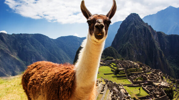 renting a car in Peru